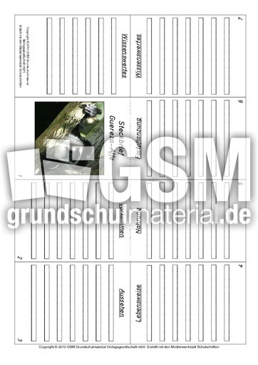Faltbuch-Guereza-Affe.pdf